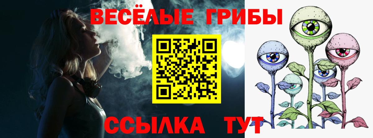 наркота  Псилоцибиновые грибы прущие грибы  Павловский Посад  Вход с VPN  Галлюциногенные грибы прущие грибы 